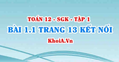 Bài 1.1 trang 13 Toán 12 tập 1 Kết nối tri thức